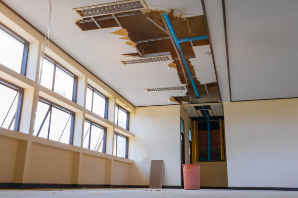 Best Carpet water damage restoration  in Nesquehoning, PA