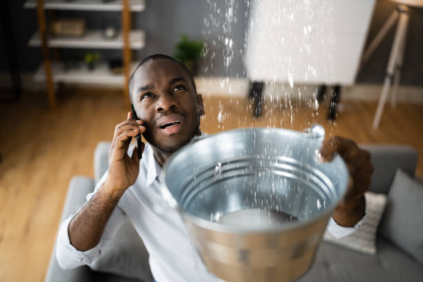 Best Local water damage restoration  in Nesquehoning, PA
