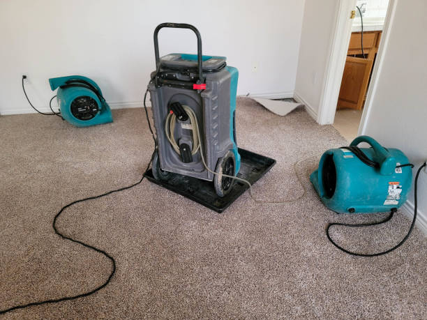 Best Residential water damage restoration  in Nesquehoning, PA