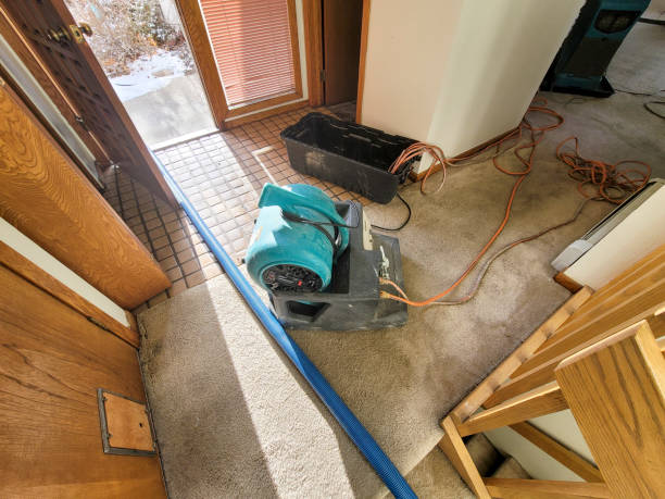 Best Carpet water damage restoration  in Nesquehoning, PA