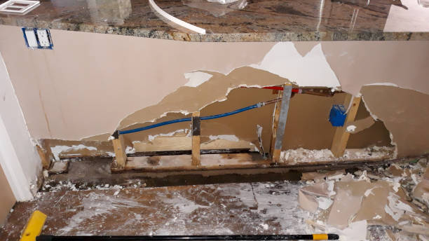 Best Water damage contractors near me  in Nesquehoning, PA
