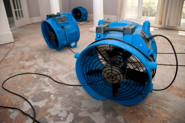 Best Flood restoration services  in Nesquehoning, PA