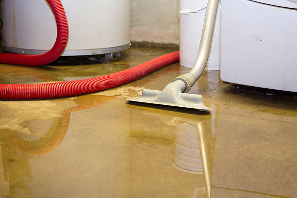 Best Commercial water damage restoration  in Nesquehoning, PA