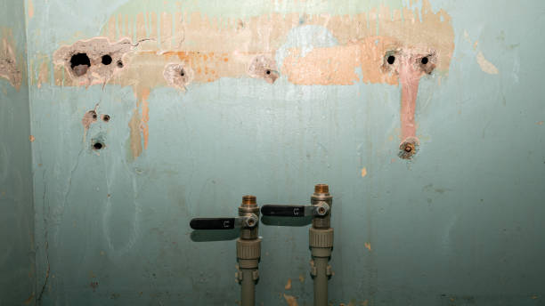 Best Water damage repair service  in Nesquehoning, PA