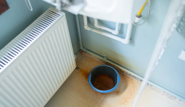Best Professional water damage repair  in Nesquehoning, PA