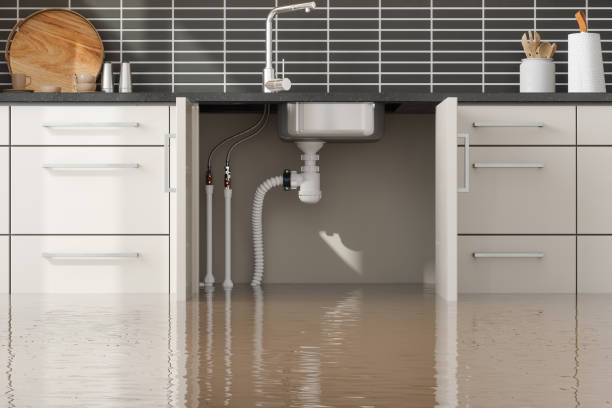  Nesquehoning, PA Water damage restoration Pros