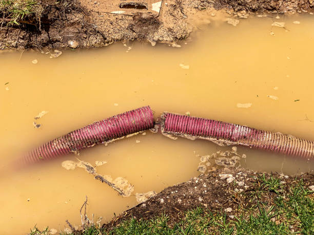 Best Mold removal after water damage  in Nesquehoning, PA