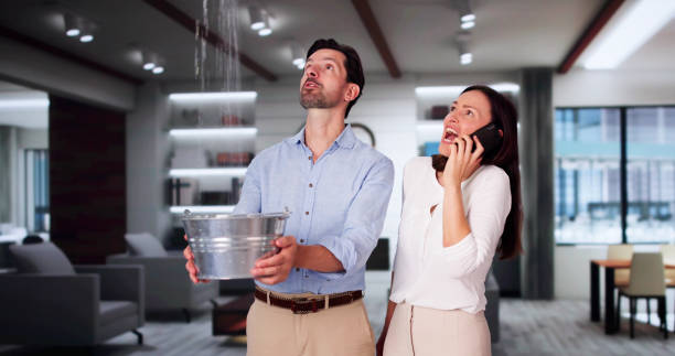 Best Commercial water damage restoration  in Nesquehoning, PA