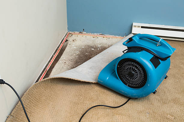 Nesquehoning, PA Water damage restoration Company